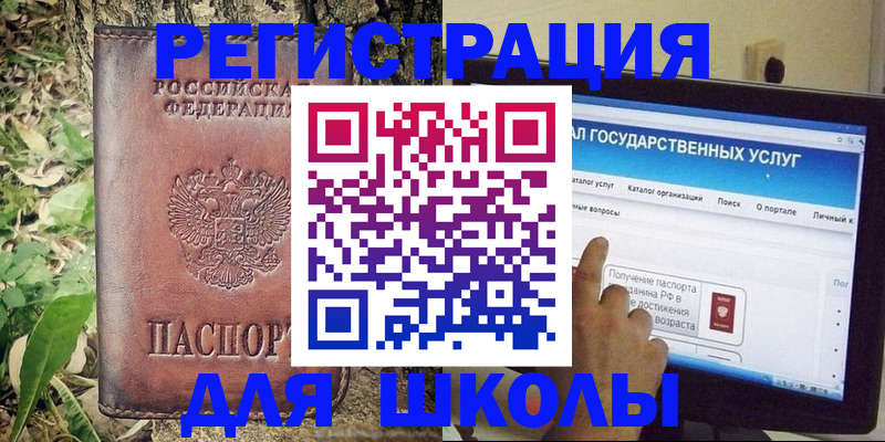 прописка для школы в Пионерском